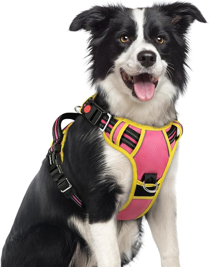 rabbitgoo Dog Harness Medium Sized, 3 Buckles Easy On & Off No Pull Pet Vest, Soft Padded Walking Pet Harness with Control Handle, Adjustable and Reflective, Pink & Yellow, M