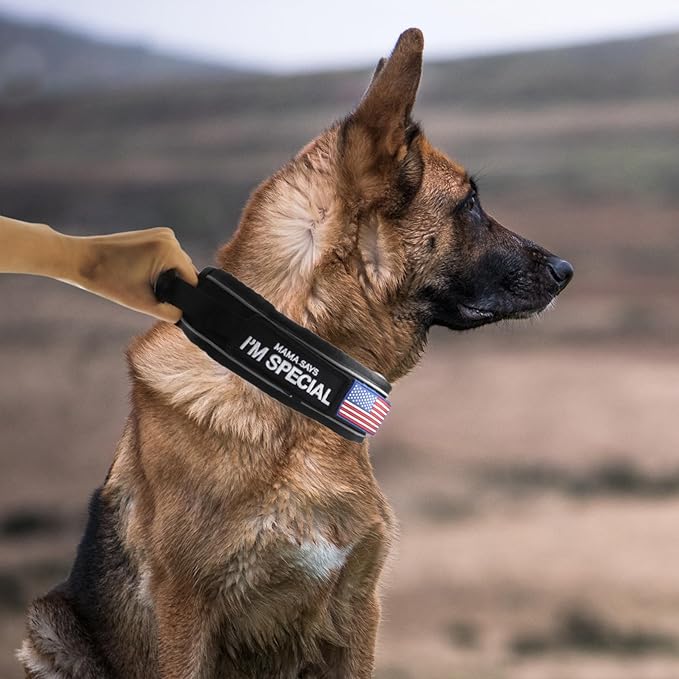 Tactical Dog Collar with Handle for Medium Dogs, 2.5"Wide Thick Heavy Duty Metal Buckle Dog Collar with Soft Neoprene Padded Lining, Military Service Reflective Collar for Training (Black,M)