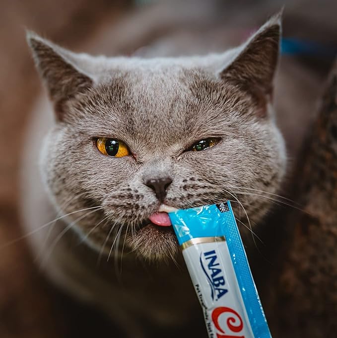 INABA Churu Cat Treats, Lickable, Squeezable Creamy Purée Cat Treat with Green Tea Extract & Taurine, 0.5 Ounces Each Tube, 24 Tubes (4 per Pack), Chicken with Cheese Recipe