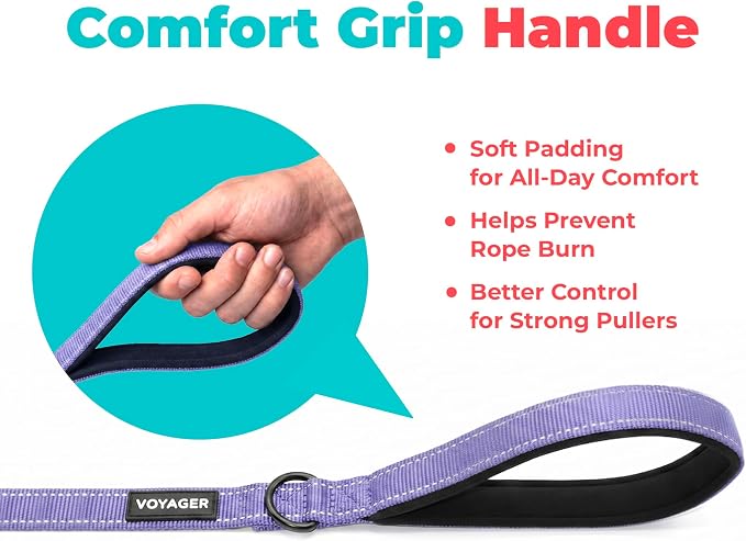 Best Pet Supplies Voyager Reflective Dog Leash or Collar with Neoprene Handle, for Small, Medium, and Large Breed Puppies, Cute and Heavy Duty for Walking, Running and Training - Lavender (Leash), S