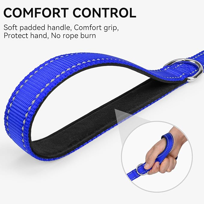 Joytale Dog Leash, 4 FT Double-Sided Reflective, Padded Handle Nylon Heavy Duty Leashes for Small Dogs Walking, Navy Blue