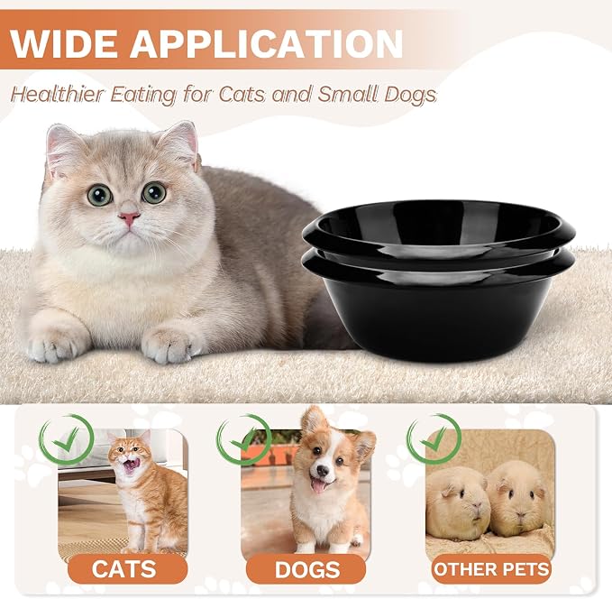 2PCS Cat Bowls Pet Feeding Dish 6.3 Inch, Wide Pet Bowl Pet Feeding Bowl for Indoor Cats, Replacement Food and Water Bowl, Wide Shallow Feeder Bowls for Kitten, Puppy, Rabbit (Black)