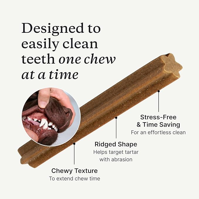 PetLab Co. Dental Sticks – Dog Dental Chews -Target Plaque & Tartar Build-Up At The Source - Designed to Maintain Your Dog’s Oral Health, Keep Breath Fresh and Provide Digestive Help (6 Sticks)