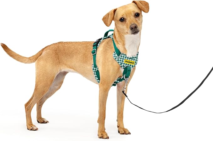 PetSafe Easy Walk Comfort No-Pull Dog Harness Padding - Better Walks on 1st Use - 5 Points of Adjustment XS, Green Gingham