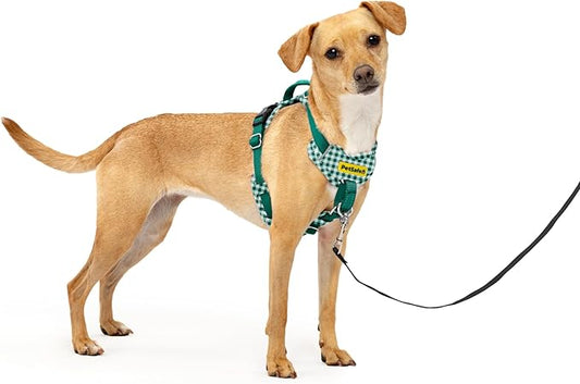 PetSafe Easy Walk Comfort No-Pull Dog Harness Padding - Better Walks on 1st Use - 5 Points of Adjustment XS, Green Gingham