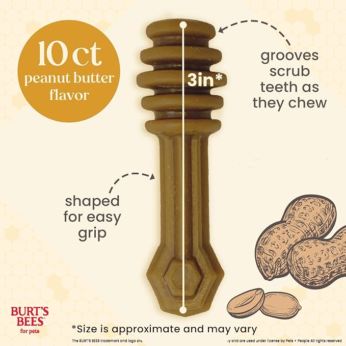 BURT'S BEES FOR PETS Dental Treats for Dogs with Manuka Honey & Ginger, 98% Natural Origin, Holistic Oral Care, Freshens Breath, Peanut Butter Flavor, Small Size, 10 ct, 6.8 Oz