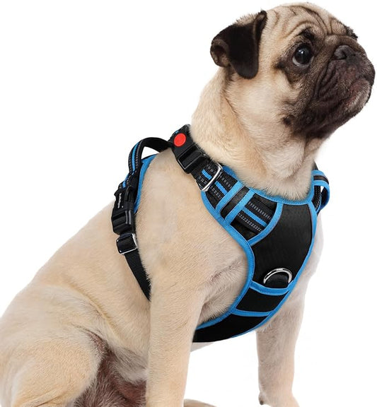 rabbitgoo Dog Harness Small Sized, 3 Buckles Easy On & Off No Pull Pet Vest, Soft Padded Walking Pet Harness with Control Handle, Adjustable and Reflective, Black & Sky Blue, S