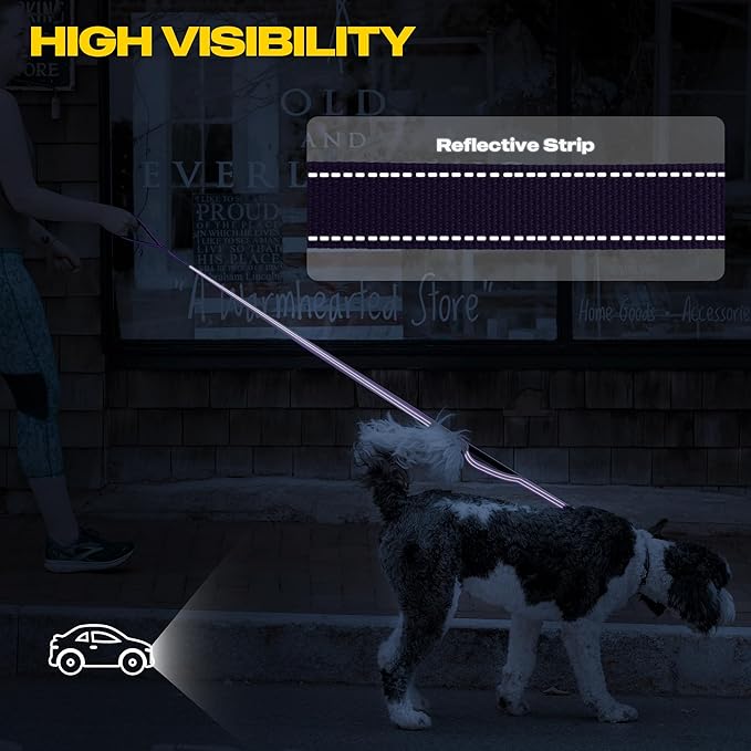Fida 10ft Heavy Duty Dog Leash with 2 Comfortable Padded Handles, Traffic Handle & Advanced Easy Snap Hook, Reflective Walking Lead for Large, Medium & Small Breed Dogs, Purple