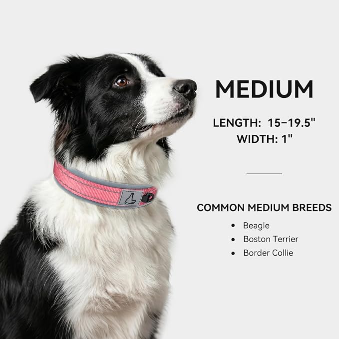 Joytale Dog Collar for Medium Dogs, Neoprene Padded and Adjustable, Reflective Wide Heavy Duty Pet Collars with Durable Metal Belt Buckle for Walking, Pink, M
