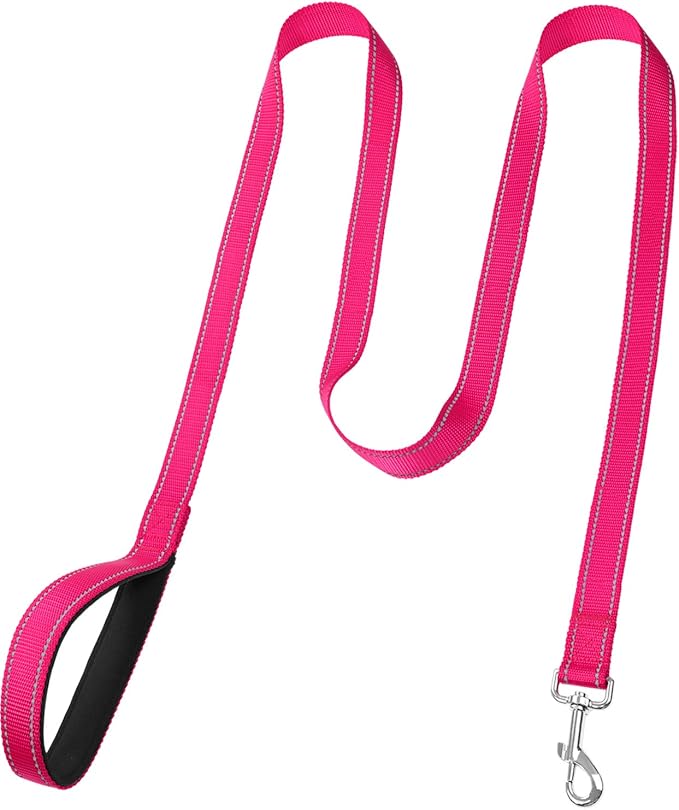 FunTags 6FT Hot Pink Reflective Dog Leash for Large & Medium Dogs Walking, Soft Padded Handle Comfortable Grip, Heavy Duty Nylon, Reflective for Night Walking, 1in Wide