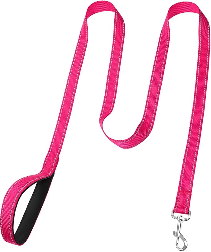 FunTags 6FT Hot Pink Reflective Dog Leash for Medium & Small Dogs Walking, Soft Padded Handle Comfortable Grip, Heavy Duty Nylon, Reflective for Night Walking, 3/4in Wide