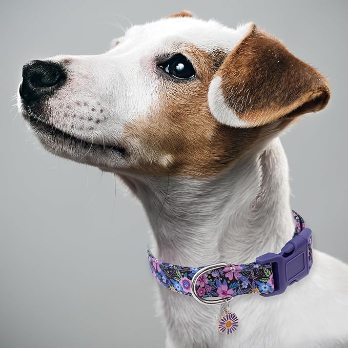 Faygarsle Cotton Dog Collar Cute Dog Collars for Small Medium Large Dogs Purple Floral Colored Options Soft and Fancy Pet Collars for Girls Flower Pattern for Girl Dog Collar XS