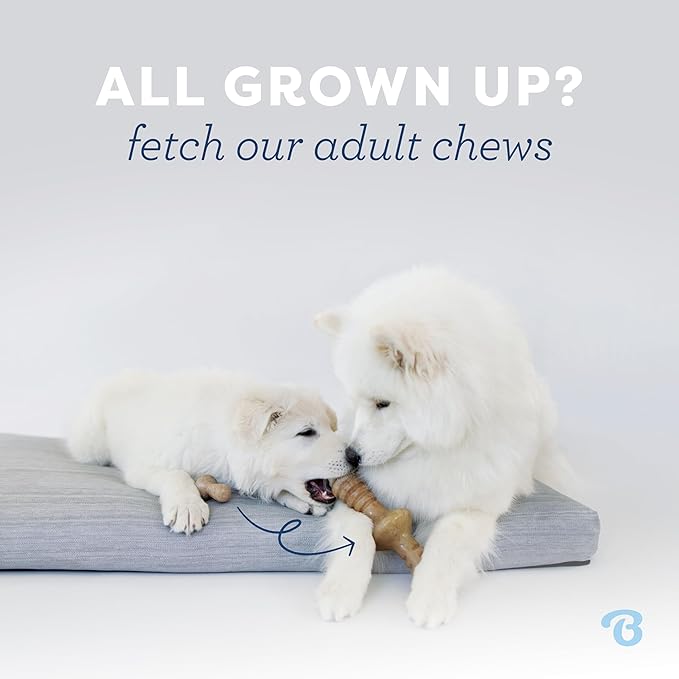 Benebone Puppy 4-Pack Durable Dog Chew Toys for Gentle Chewers, Real Bacon/Jack Salmon/Maplewood, Made in USA, Small