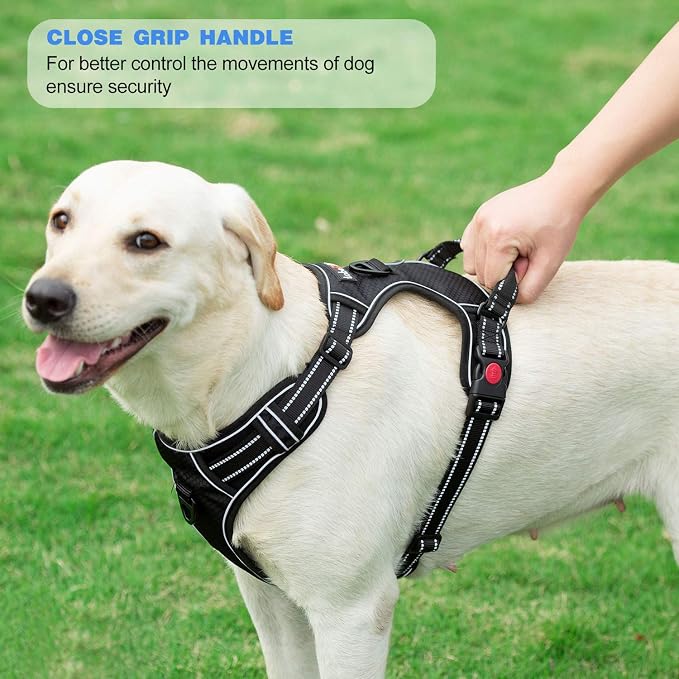tobeDRI No Pull Dog Harness Adjustable Reflective Oxford Easy Control Medium Large Dog Harness with A Free Heavy Duty 5ft Dog Leash (S (Neck: 13"-18", Chest: 17.5"-22"), Black Harness+Leash)