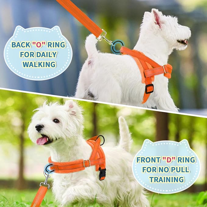 Lukovee No Pull Dog Harness and Leash Set, Soft Padded Small Dog Harness, Neck & Chest Adjustable Reflective Vest Puppy Harness with 4ft Lightweight Anti-Twist Dog Leash for Small Dogs (Orange, S)