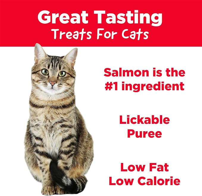 Country Kitchen Salmon Puree Lickable Cat Treats, Made with Real Salmon, 2 Oz, 4 Count