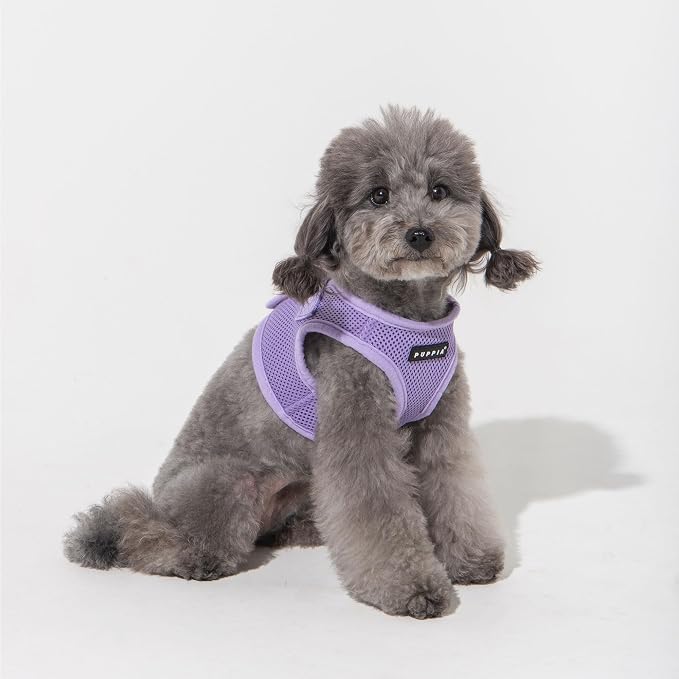 Puppia Soft Vest Dog Harness Step-in Padded Mesh No Choke No Pull Comfortable Walking Running Training for Small Medium Large Dogs, Violet, X-Small