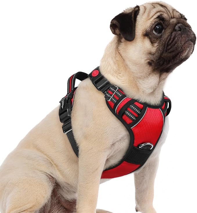 rabbitgoo Dog Harness Small Sized, 3 Buckles Easy On & Off No Pull Pet Vest, Soft Padded Walking Pet Harness with Control Handle, Adjustable and Reflective, Red, S