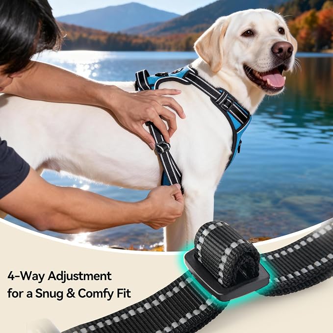 PHOEPET Reflective Dog Harness No Pull Large Breed Vest with 2 Metal Leash Attachment Hooks(XL, Blue)