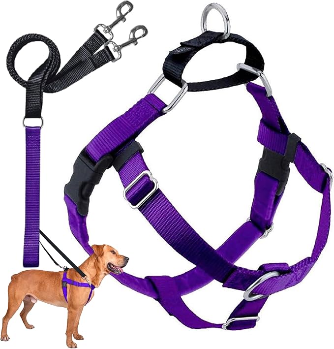 2 Hounds Design Freedom No Pull Dog Harness, Adjustable Harness and Leash Set, Easy Walking & Comfortable Control, Fits Small, Medium & Large Dogs, Solid Colors, Made in USA, 1" LG, Purple