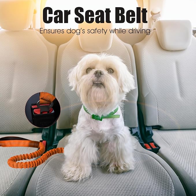BUMBIN 6Ft Dog Leash - Large Dogs, Bungee Leash with 2 Handles, Heavy Duty, No Pull Shock Absorbing, Orange