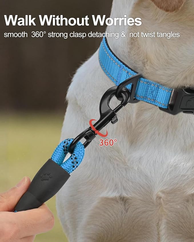 Joytale Dog Leash for Large Dogs, Heavy Duty Nylon Leashes with Comfortable Padded Handle and Highly Reflective Threads, Ideal for Walking and Training, SkyBlue, 5'×1/2''