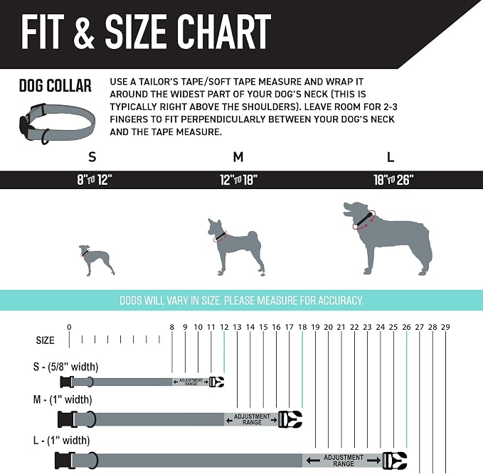 Wolfgang Heavy Duty, Adjustable Dog Collar with Quick Release Nylon Buckle for Walking & Training, SunsetPalms Print, Large