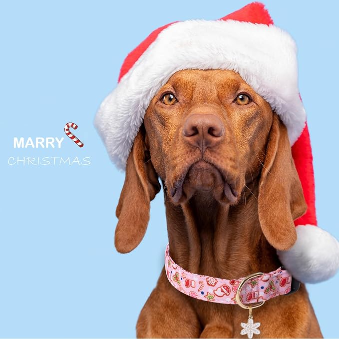 Faygarsle Pink Dog Collar - Christmas Design Pattern for Small, Medium & Large Dogs - Cute & Stylish
