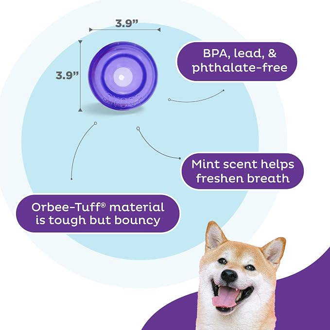 Outward Hound by Planet Dog Lil' Snoop Dog Toy – Treat‑Dispenser Puzzle Ball, Interactive Slow Feeder, Small to Medium Dogs, Bouncy & Mint-Infused, Purple, 3.9"