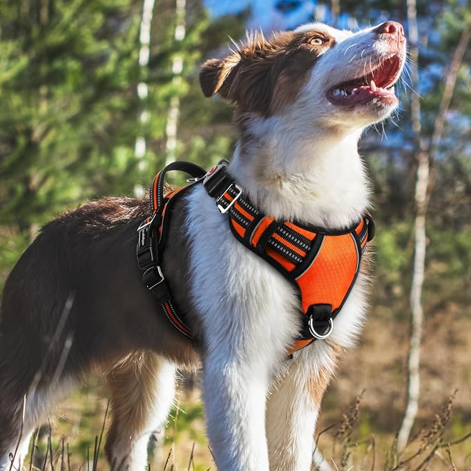 rabbitgoo Dog Harness Medium Sized, 3 Buckles Easy On & Off No Pull Pet Vest, Soft Padded Walking Pet Harness with Control Handle, Adjustable and Reflective, Orange, M