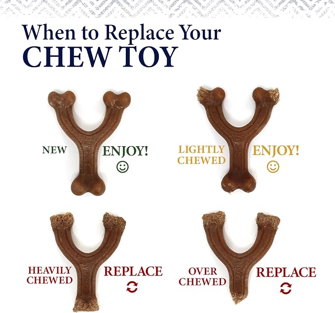 Nylabone Gourmet Style Stick Strong Chew Toy for Dogs, Peanut Butter Flavor, X-Large - 50+ lbs, 1 Count