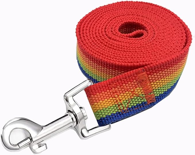 Strong Nylon Dog Leash, 4FT/ 5 FT/ 6FT Dog Leashes for Medium Large Dogs (6FT, Rainbow)