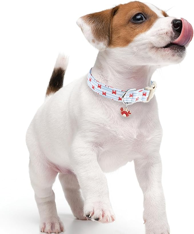 Faygarsle Cute Crab Pattern Dog Collar, Cotton Fabric, Light Blue Stripes, for Small Medium Large Dogs L