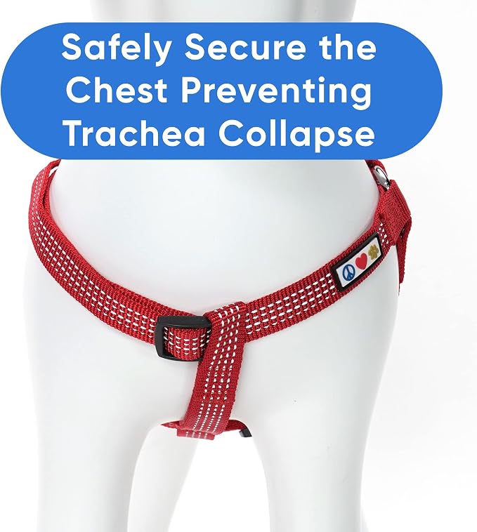 Pawtitas Reflective Step-in Dog Harness – Adjustable No-Pull Vest for Puppies to Seniors, Safe & Comfortable, L Red