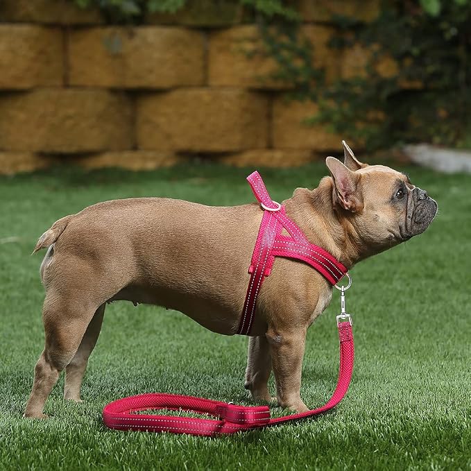 Plutus Pet No Pull Dog Harness with Breathable Mesh Padded, Adjustable Reflective Escape Proof Dog Harness, Quick Fit Dog Vest Harness for Small Medium Large Dogs(M, Pink)