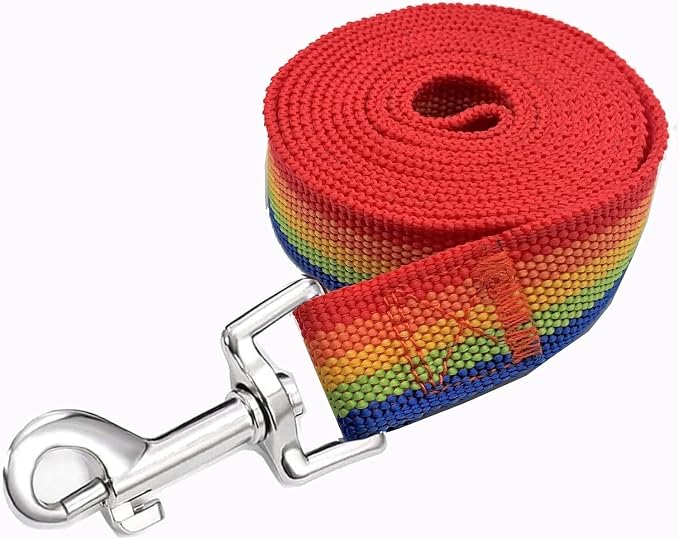 Strong Nylon Dog Leash, 4FT/ 5 FT/ 6FT Dog Leashes for Small Medium Dogs