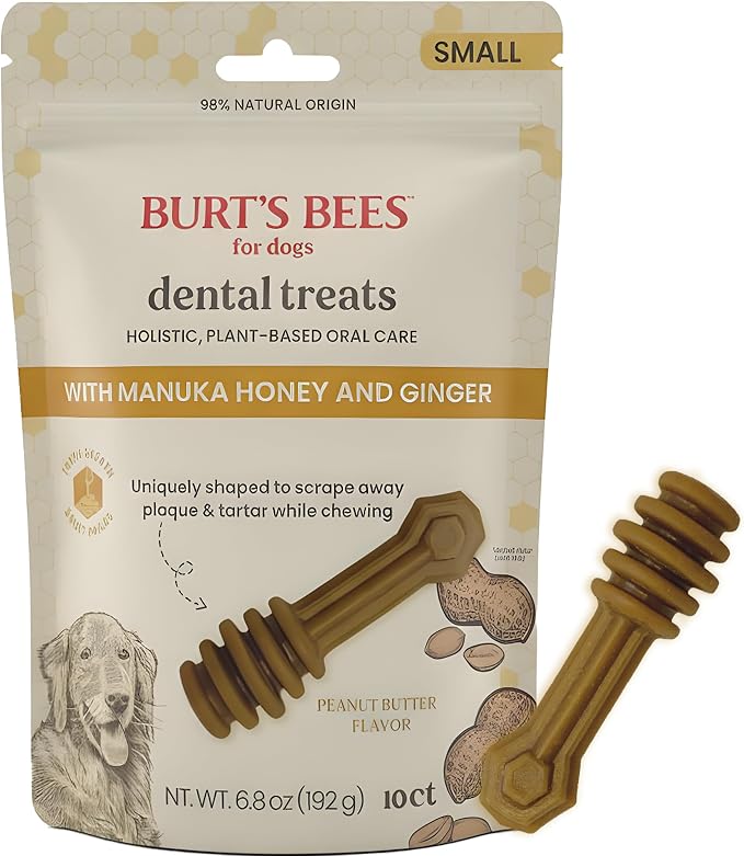 BURT'S BEES FOR PETS Dental Treats for Dogs with Manuka Honey & Ginger, 98% Natural Origin, Holistic Oral Care, Freshens Breath, Peanut Butter Flavor, Small Size, 10 ct, 6.8 Oz
