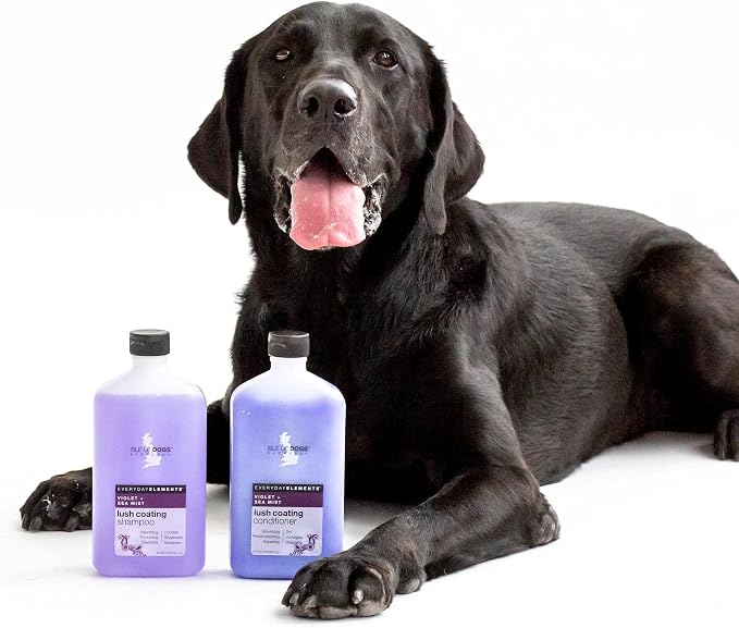 Isle of Dogs - Everyday Elements Lush Coating Shampoo For Dogs - Violet + Sea Mist - Volumizing Pet Shampoo With Calendula Flower & Rosemary Leaf Juice For Bounce and Shine - Made in the USA - 16.9 Oz