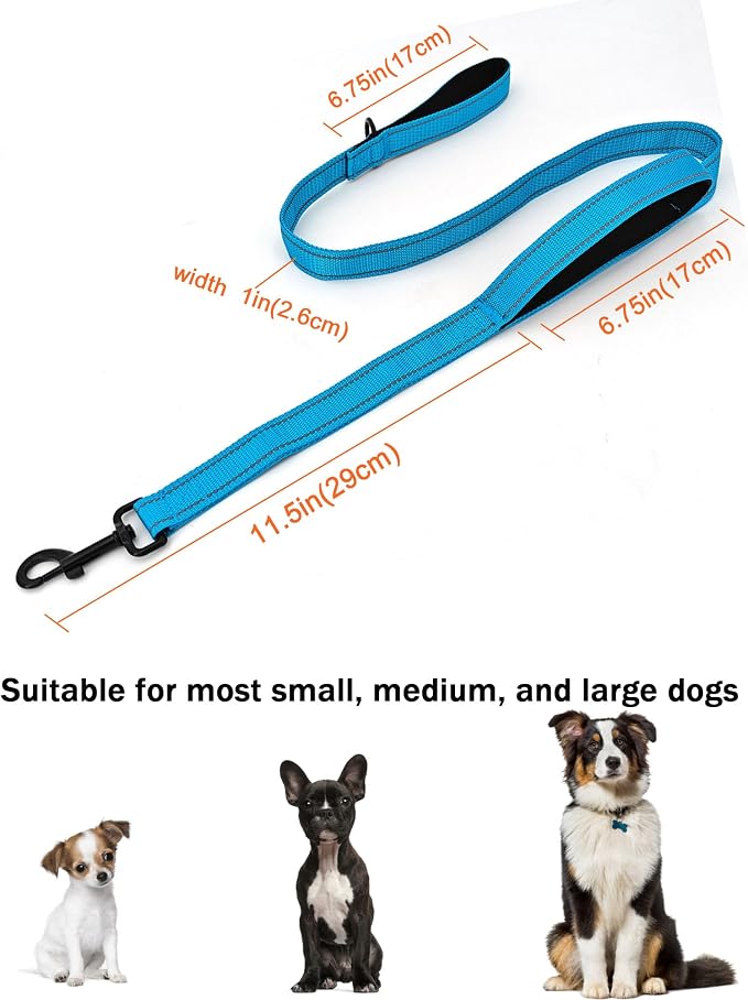 Solmoony 4FT Blue Strong Dog Leash with 2 Padded Handles, Traffic Handle Extra Control, Double-Sided Reflective Walking Lead for Small Medium and Large Dogs(Blue, 4FT)