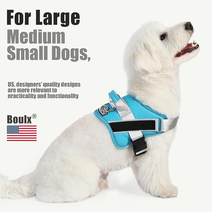 Dog Harness, No-Pull Reflective Dog Vest, Breathable Adjustable Pet Harness with Handle for Outdoor Walking - No More Pulling, Tugging or Choking (OceanicBlue, Medium (Pack of 1))