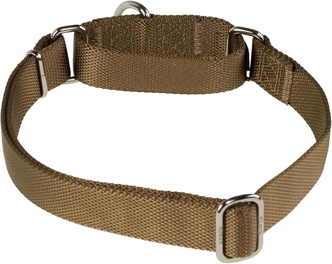 Hyhug Martingale Dog Collar Medium Yellow |Escape - Proof Heavy Duty Nylon Durable No Slip, Ideal for Training & Daily Walks