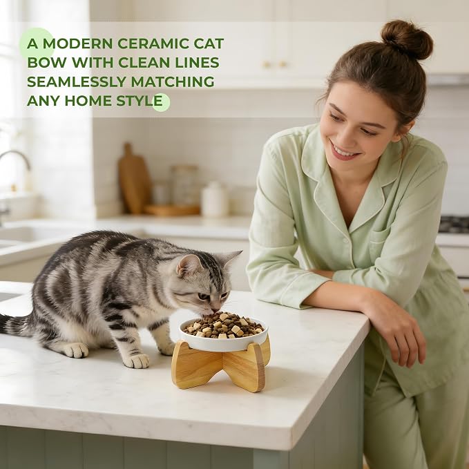 Raised Cat Bowl, 6.3'' Wide Shallow Elevated Cat Food Bowl, Ceramic Anti Vomit Pet Feeder with Stand, Anti Whisker Fatigue Neck Protective Feeding Dish for Kittens & Seniors (1 Pack)