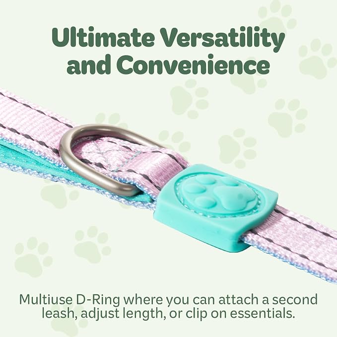 Desired Things Bungee Dog Leash Reflective Training Leash with Shock Absorbent Spring, Emergency Pull Handle, Collar Latch, D-Ring Buckle for Dog Treats, Poop Bags, Puppy Essentials - Pink and Blue