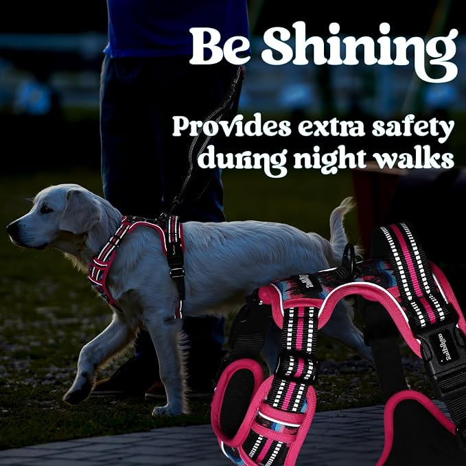 rabbitgoo Dog Harness Small Sized, No Pull Easy On & Off with 3 Buckles Pet Harness, Adjustable Soft Walking Vest with 2 Clips and Handle, Reflective for Small Dogs, Mountain Rose, S