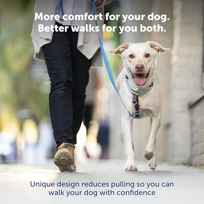 PetSafe Easy Walk Comfort No-Pull Dog Harness Padding - Better Walks on 1st Use - 5 Points of Adjustment Small, Green Gingham