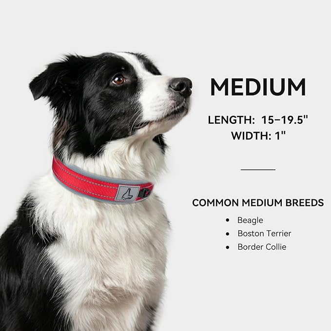 Joytale Dog Collar for Medium Dogs, Neoprene Padded and Adjustable, Reflective Wide Heavy Duty Pet Collars with Durable Metal Belt Buckle for Walking, Red, M
