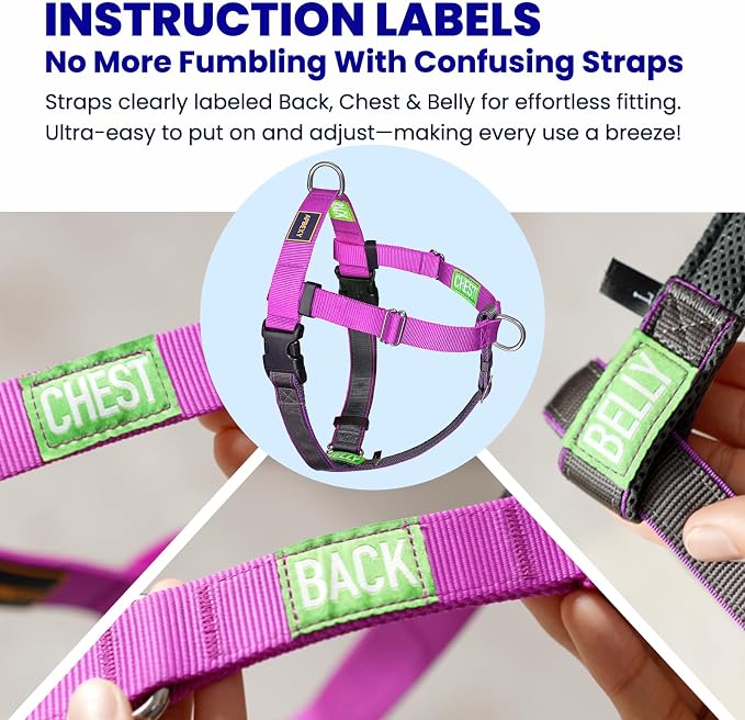 Freedom No Pull Dog Harness, Easy Walker, Front and Back Clips, Stop Pulling with 2 Stainless D-Rings, Sewn-in Instructions Tags for Easy Use, for Small Dogs Weight 20-30 lbs (Purple, Small)