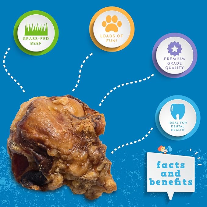 Jack&Pup Beef Bones (10 Pack), Knee Cap for Dogs, Long Lasting Natural Dog Bones, Beef Bone Knee Caps for Large Dogs
