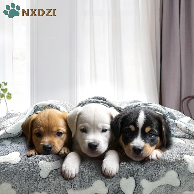Dog Blankets for Medium Large Dogs, 3 Pack Dog Blanket Washable 41" x 31", Gifts Puppy Essentials, Fuzzy Soft Pet Mat Throw Cover for Kennel Crate Bed, Cat Blanket, Blankets for Dogs, Pet Blanket