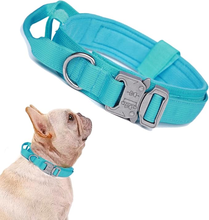 Tactical Dog Collar Adjustable Military Nylon Dog Collar with Control Handle and Heavy Duty Metal Buckle for Medium and Large Dogs (Blue,S)